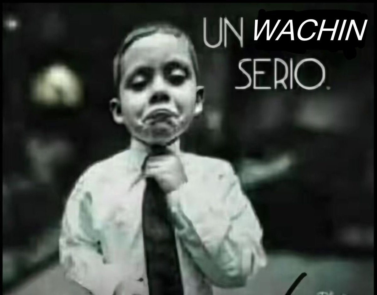 bonjour caposhit tweet media