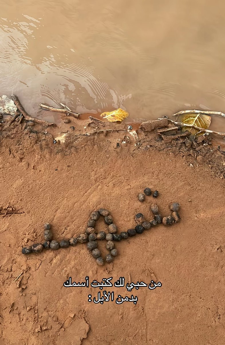 𝓐𝓜𝓜𝓐𝓡 tweet media