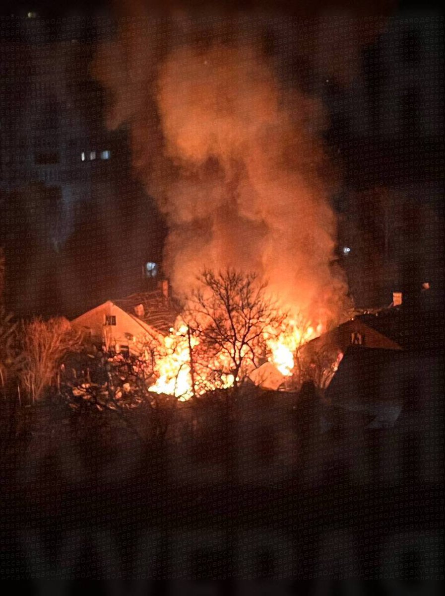 Пухнастий українобот 🇺🇦⚓️ tweet media