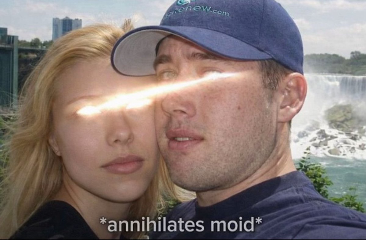 mean girl tweet media