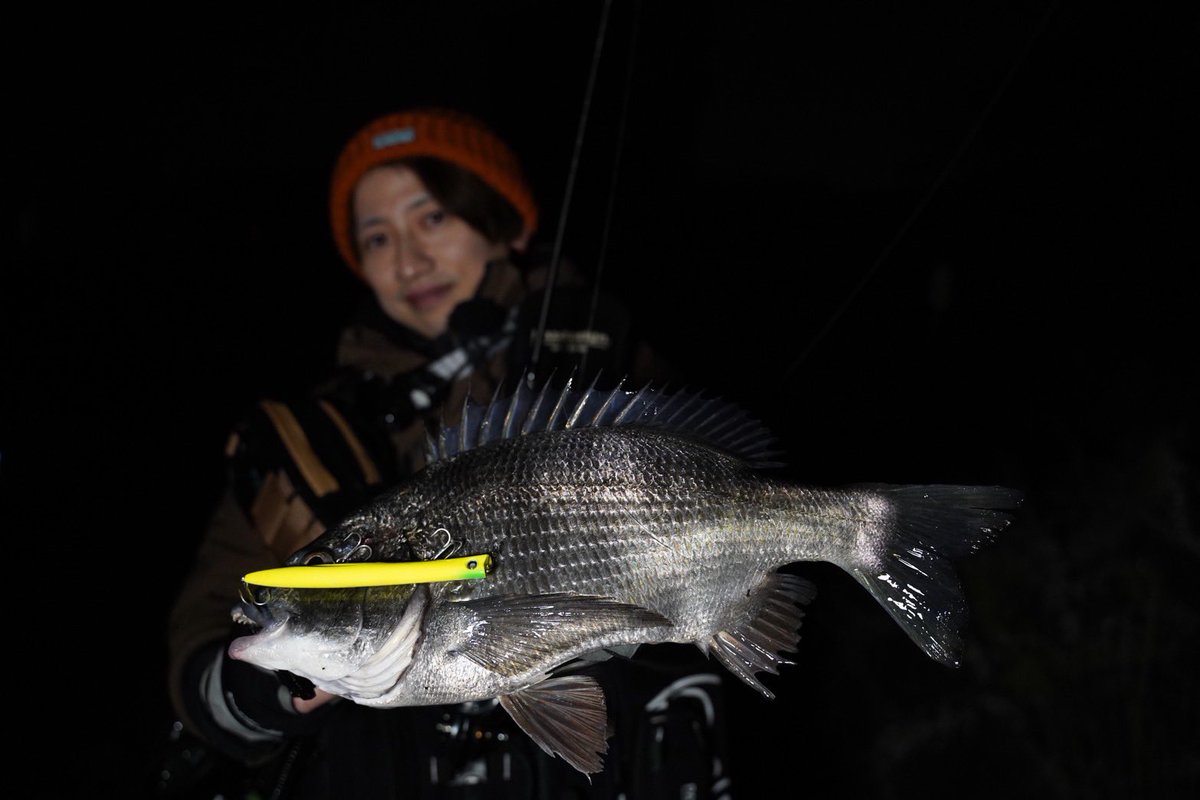 新　拓也 tweet media