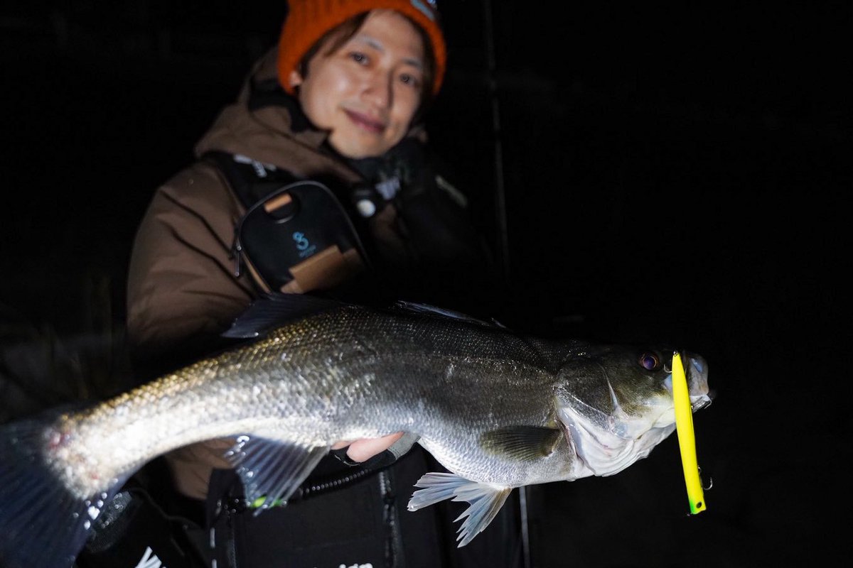 新　拓也 tweet media