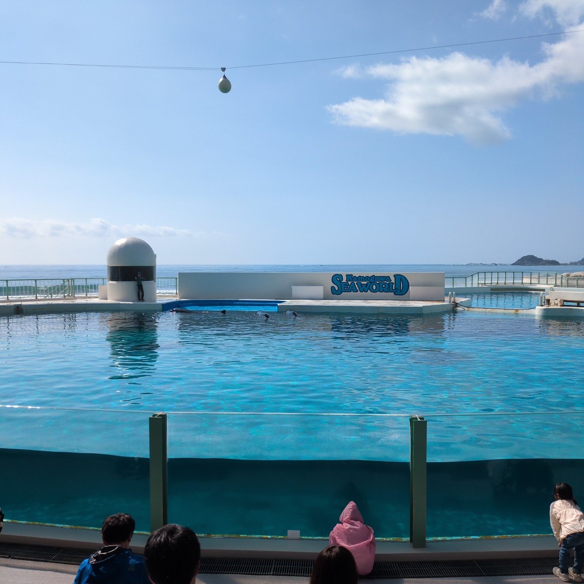 うしろめたい tweet media