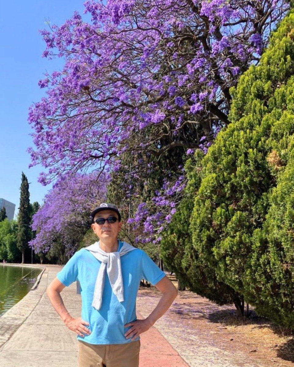 Embajador del Japón en México tweet media