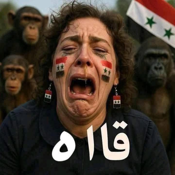 HUMAM Alkabran tweet media