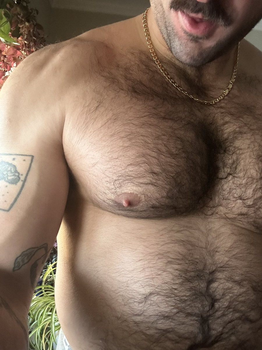 Trader Tony tweet media