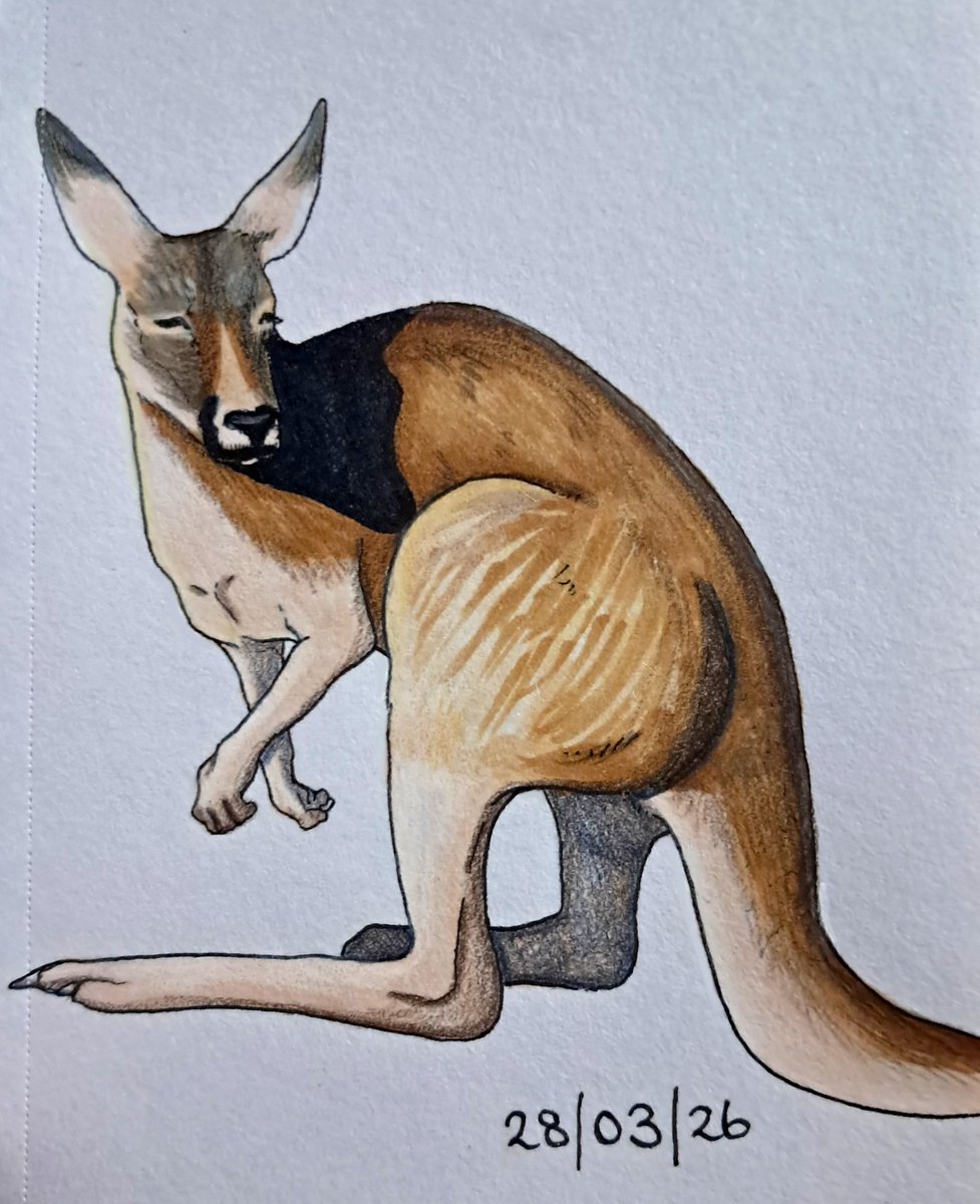 Sam 💜 tweet media