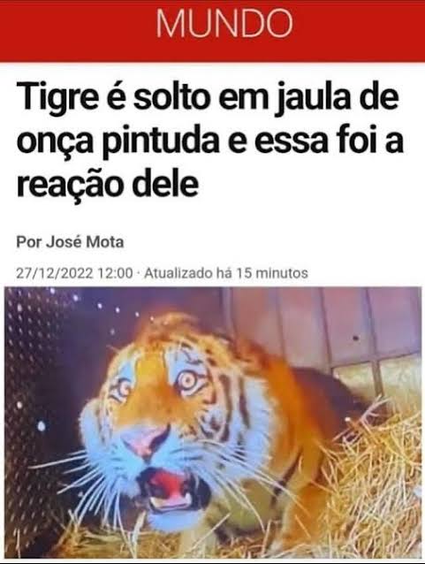 🍂Beyonce mandou eu ser de esquerda tweet media