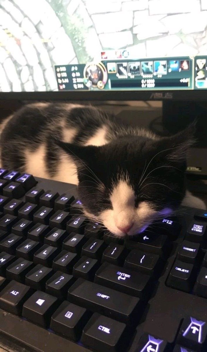 Yazza ⭐️ tweet media