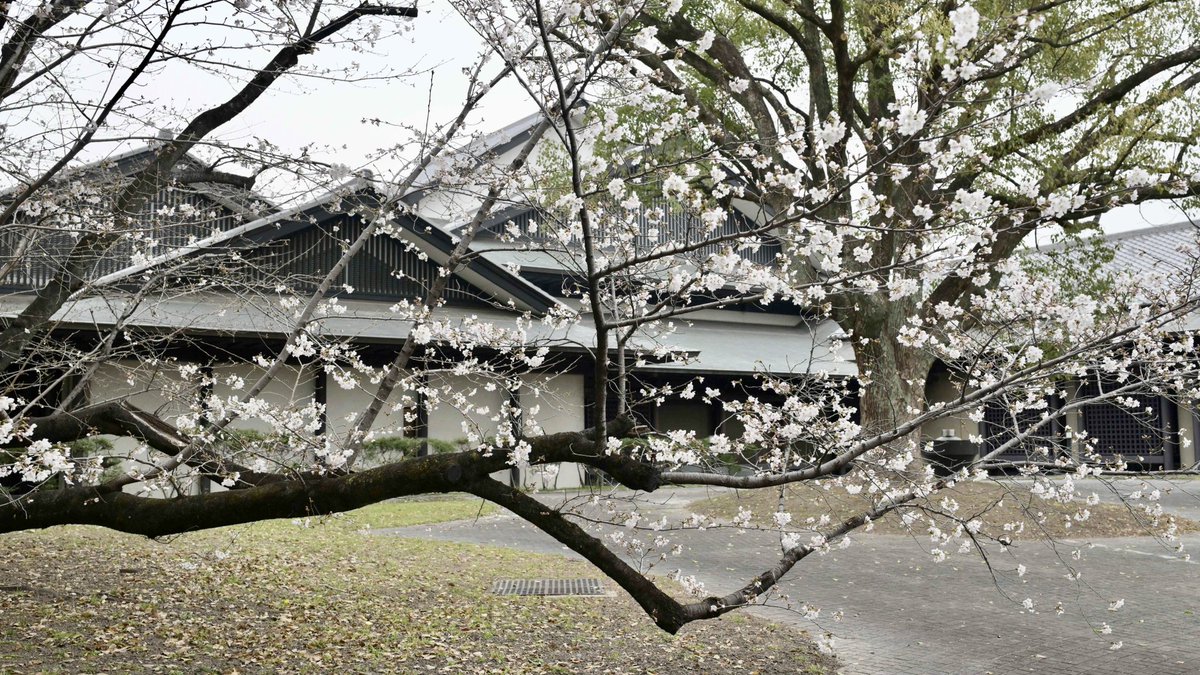 ひでちゃん tweet media