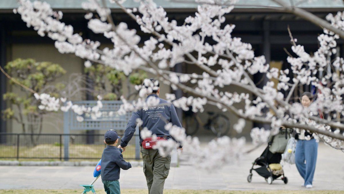 ひでちゃん tweet media