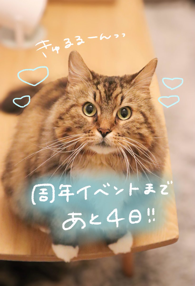 ヴィラ・ウリエル tweet media