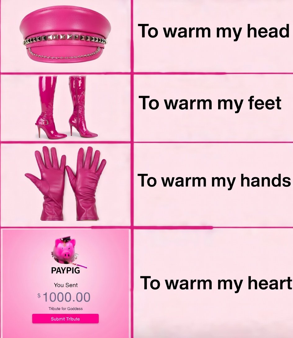 FinDom tweet media