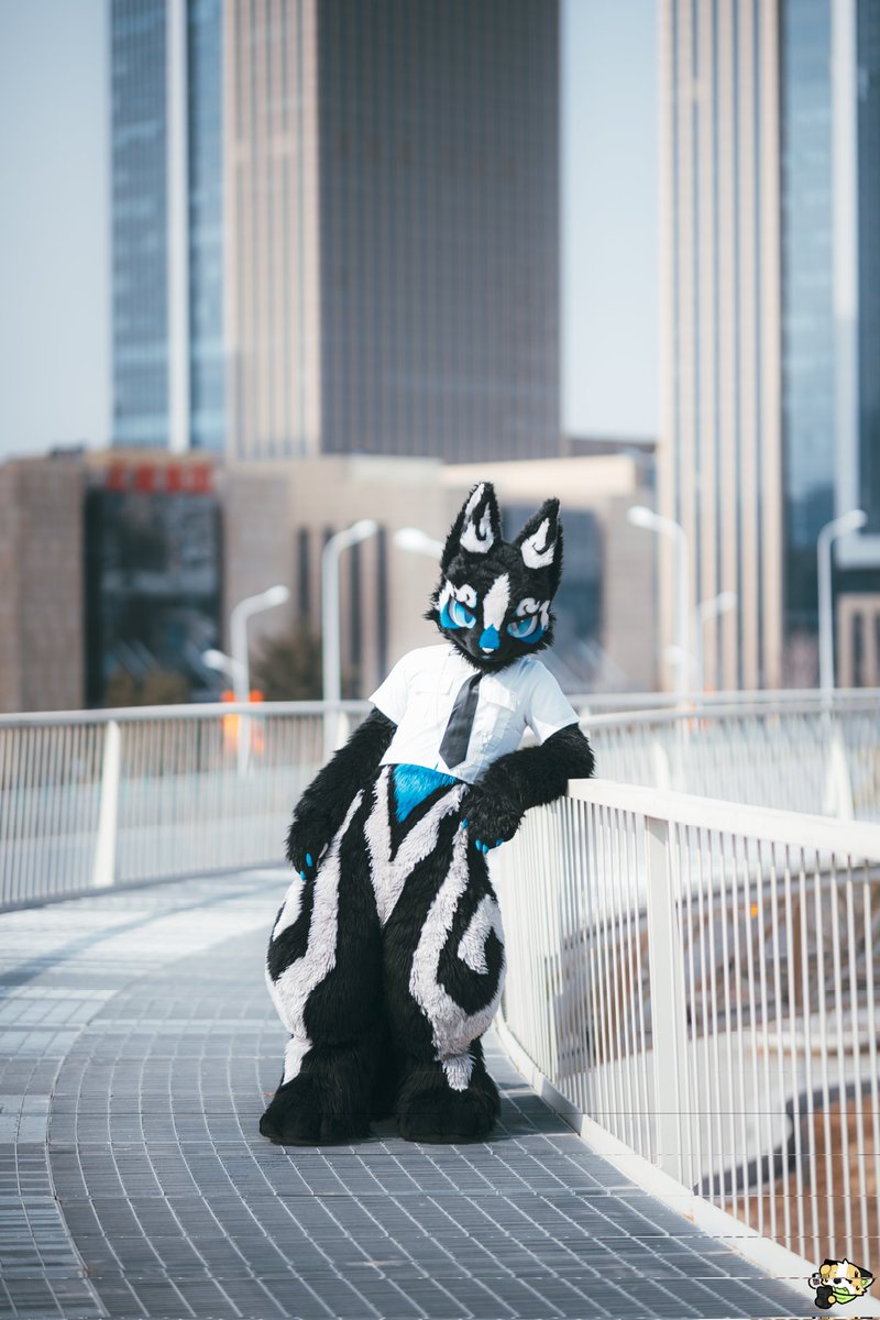 星效-Vulptex tweet media