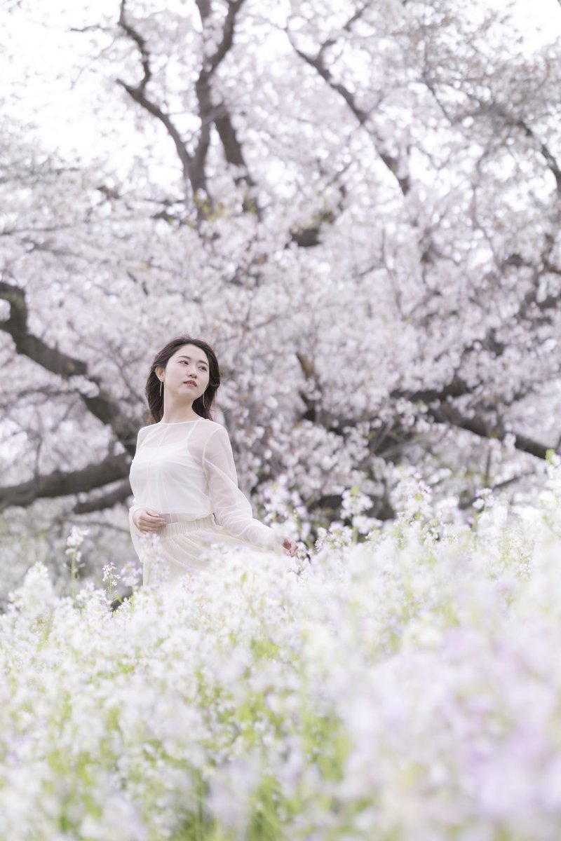 去年の二子玉川🌸
今日の撮影会もよろしくお願いします✨