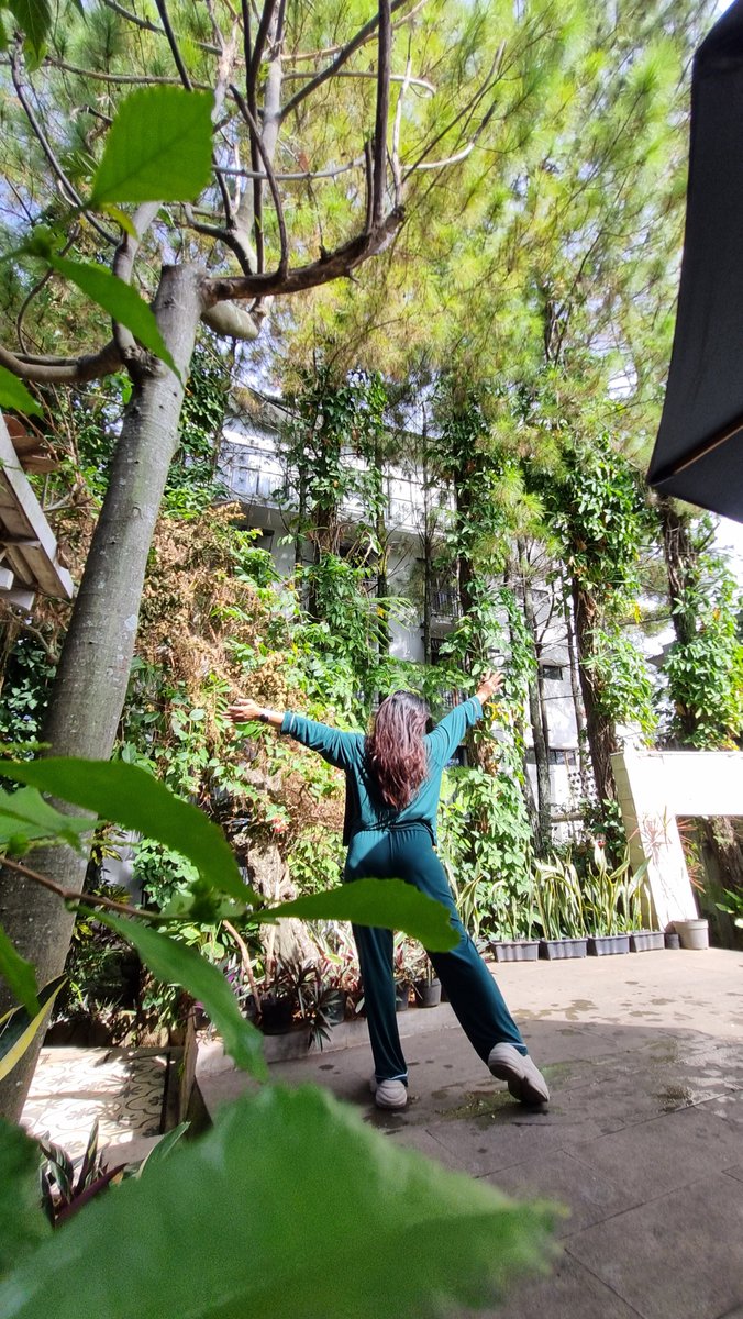 🐇🐇 Mrs.curious-T tweet media