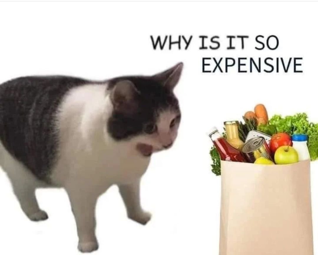 Crin ᚴᚱᛁᚾ TheWizard 🔞 M DNI tweet media