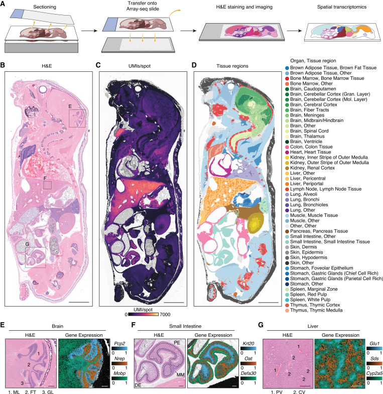 Waggoner Lab tweet media