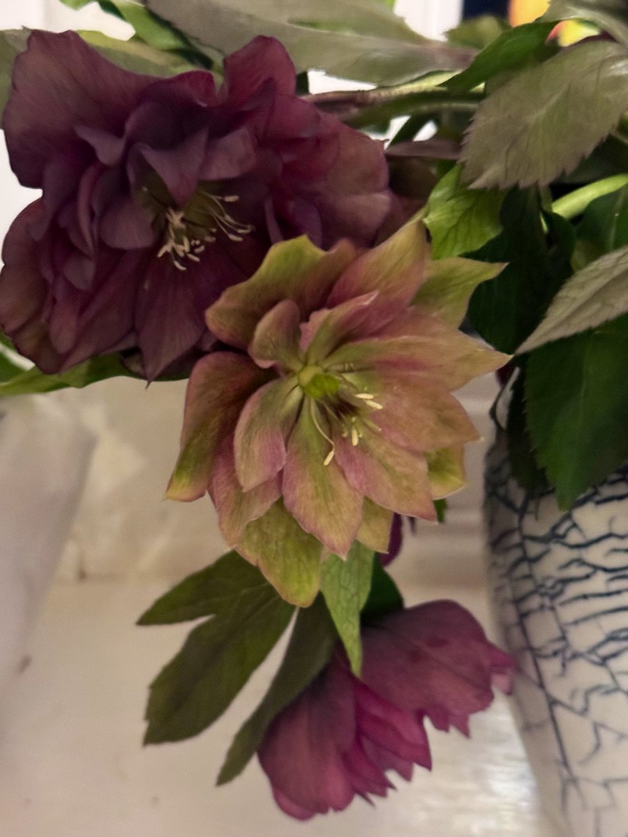 Captain Super Mom tweet media