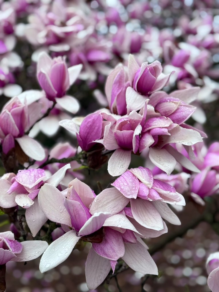 Captain Super Mom tweet media