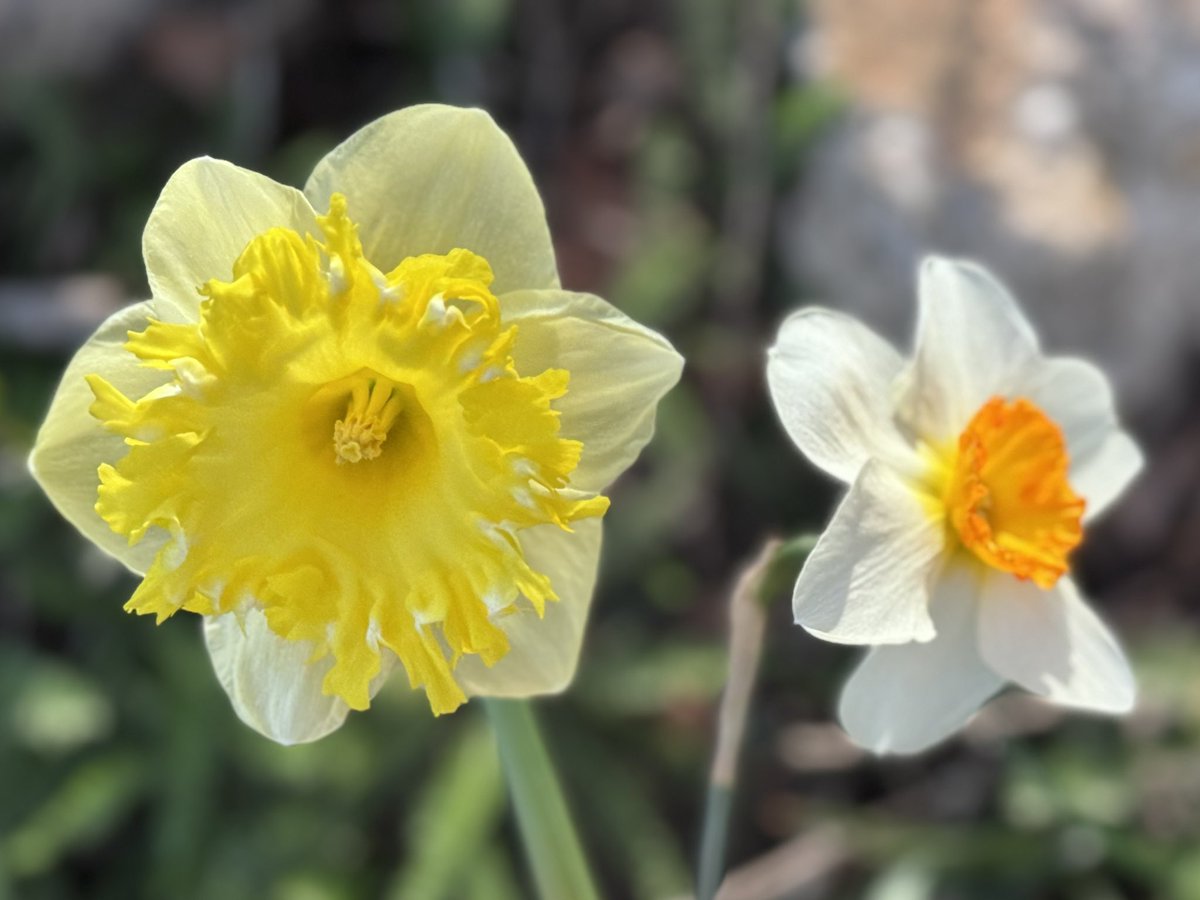 Captain Super Mom tweet media