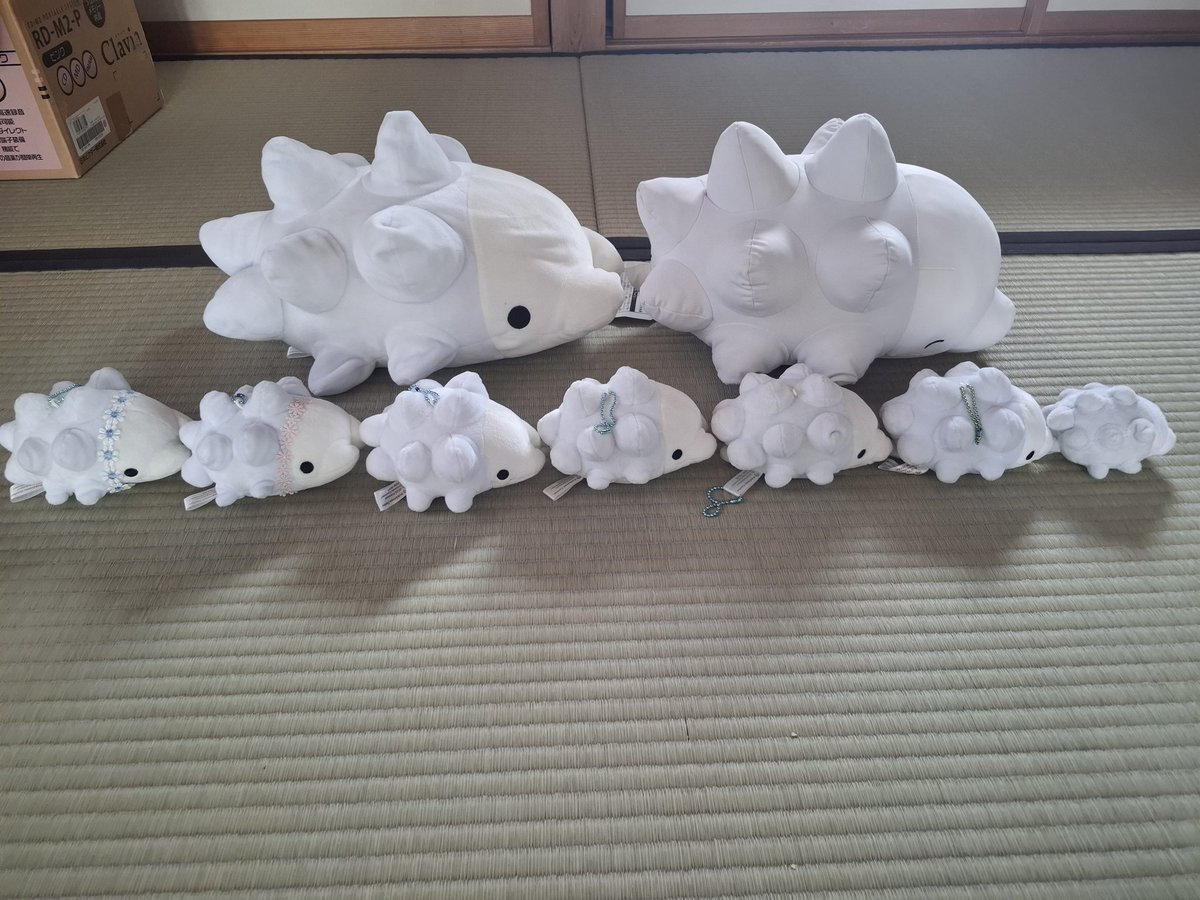 双子村のくろすけ tweet media