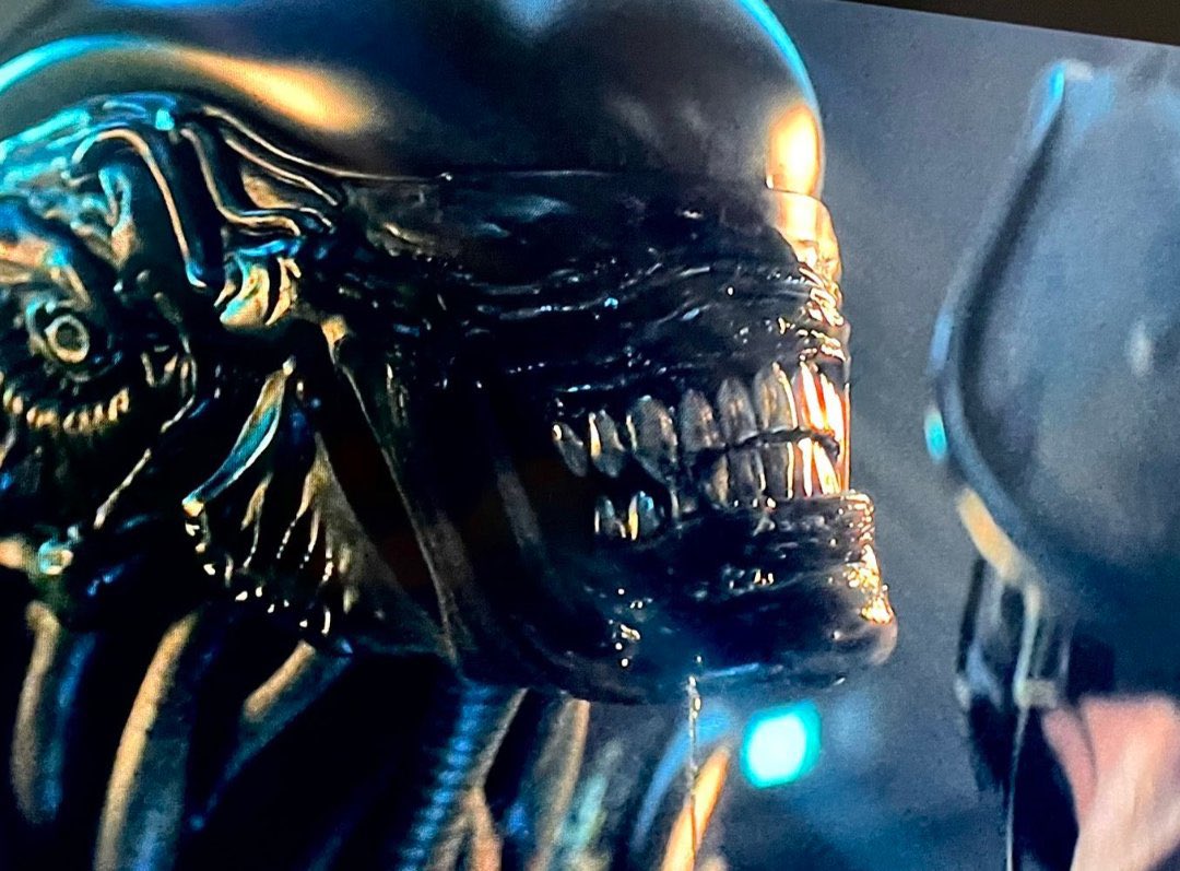 Andres R. tweet media