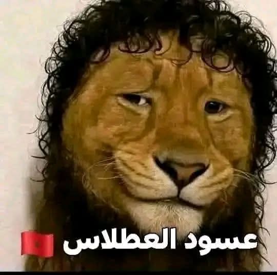 InzoAimer's tweet photo. @AAmine64579 @abdelhaksnaibi @AbsoluTabou https://t.co/1kOBF7z4u9