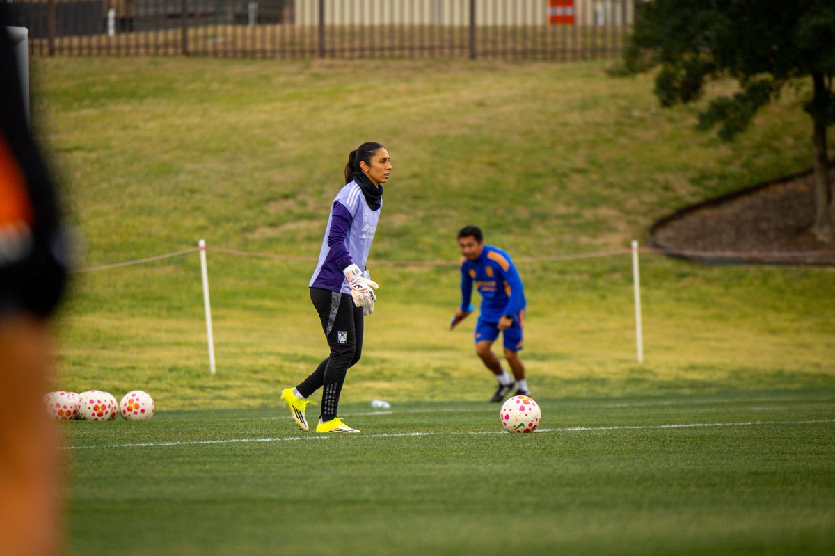 Club Tigres Femenil 🐯 tweet media