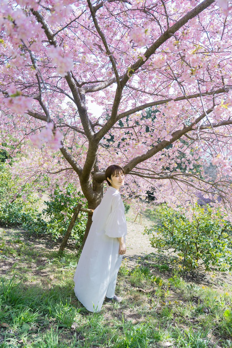 真島淳 tweet media