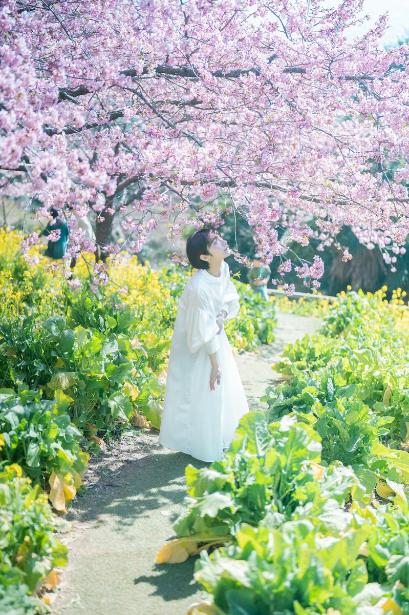 真島淳 tweet media