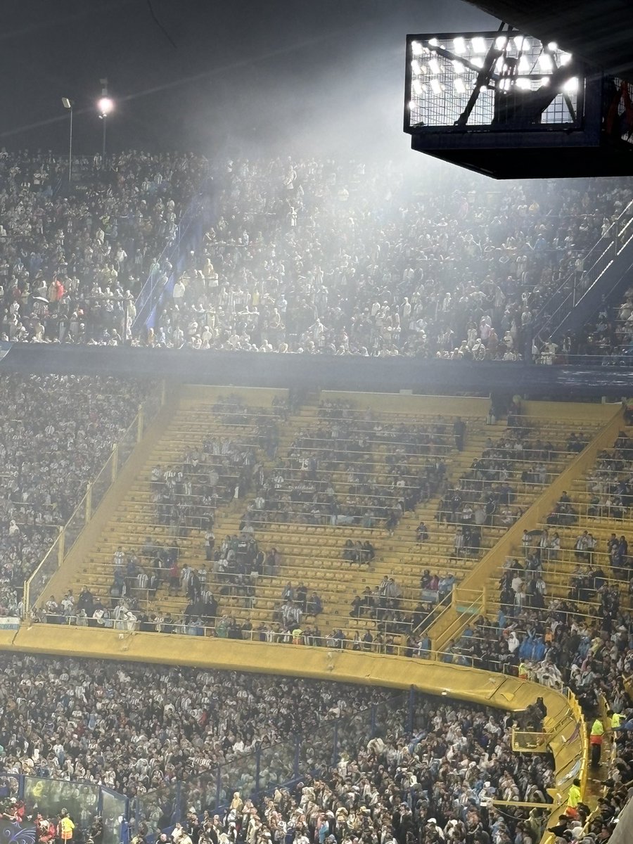 𝘮𝘢𝘶𝘳𝘰 🐔 tweet media