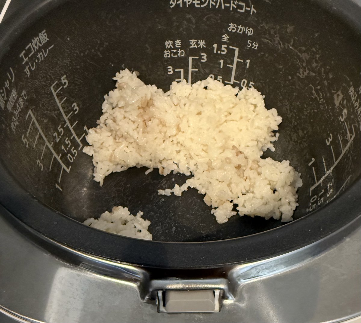 こっちのねこ tweet media