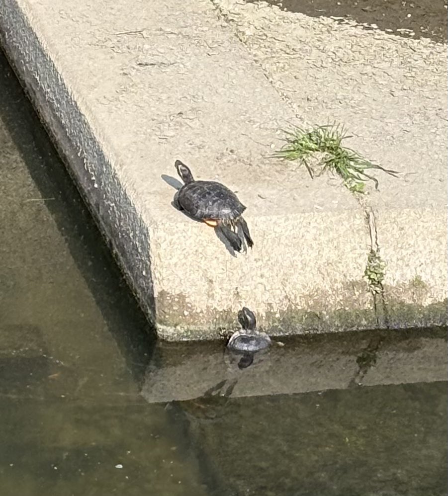 アイチYT301 / JS2TCX tweet media