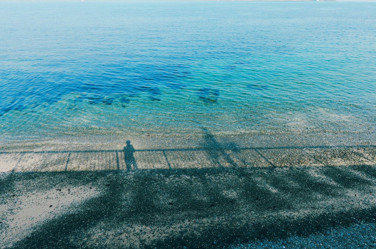 伊坂　謙 tweet media