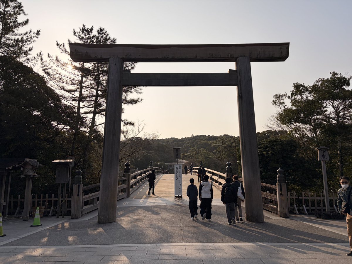 伊藤 梓 tweet media