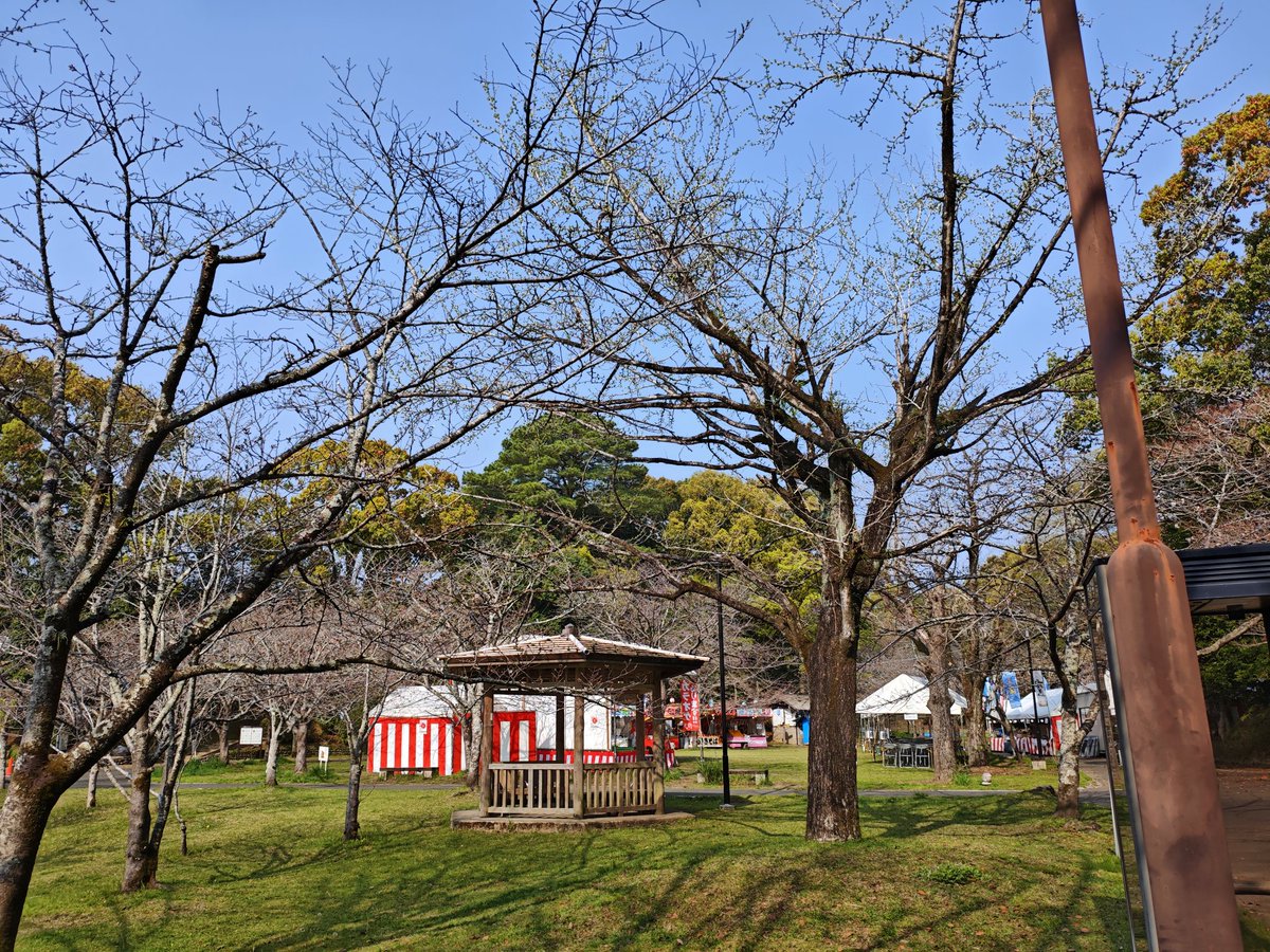 くすもっちぃ tweet media