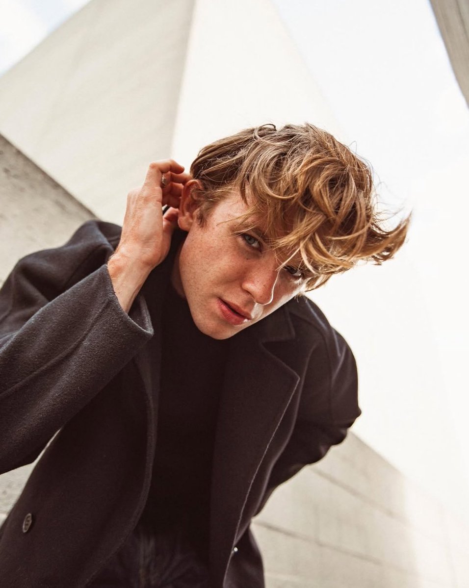 the tall tweet media