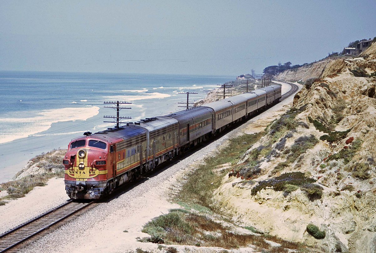 Chris 🦝 tweet media