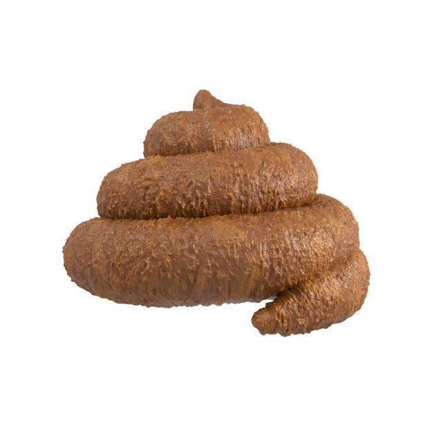 Bernadette Devereux tweet media