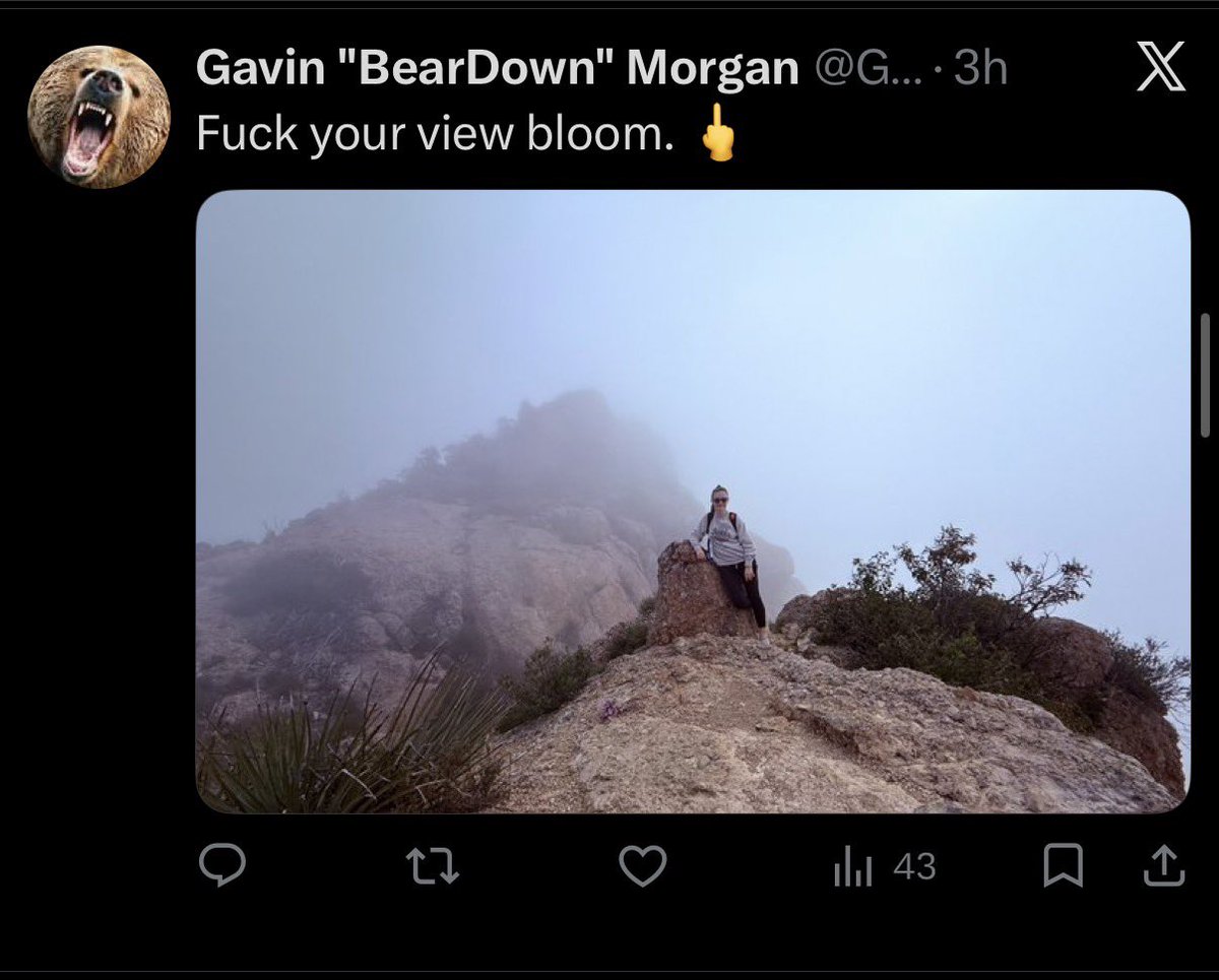 Emily Bloom tweet media