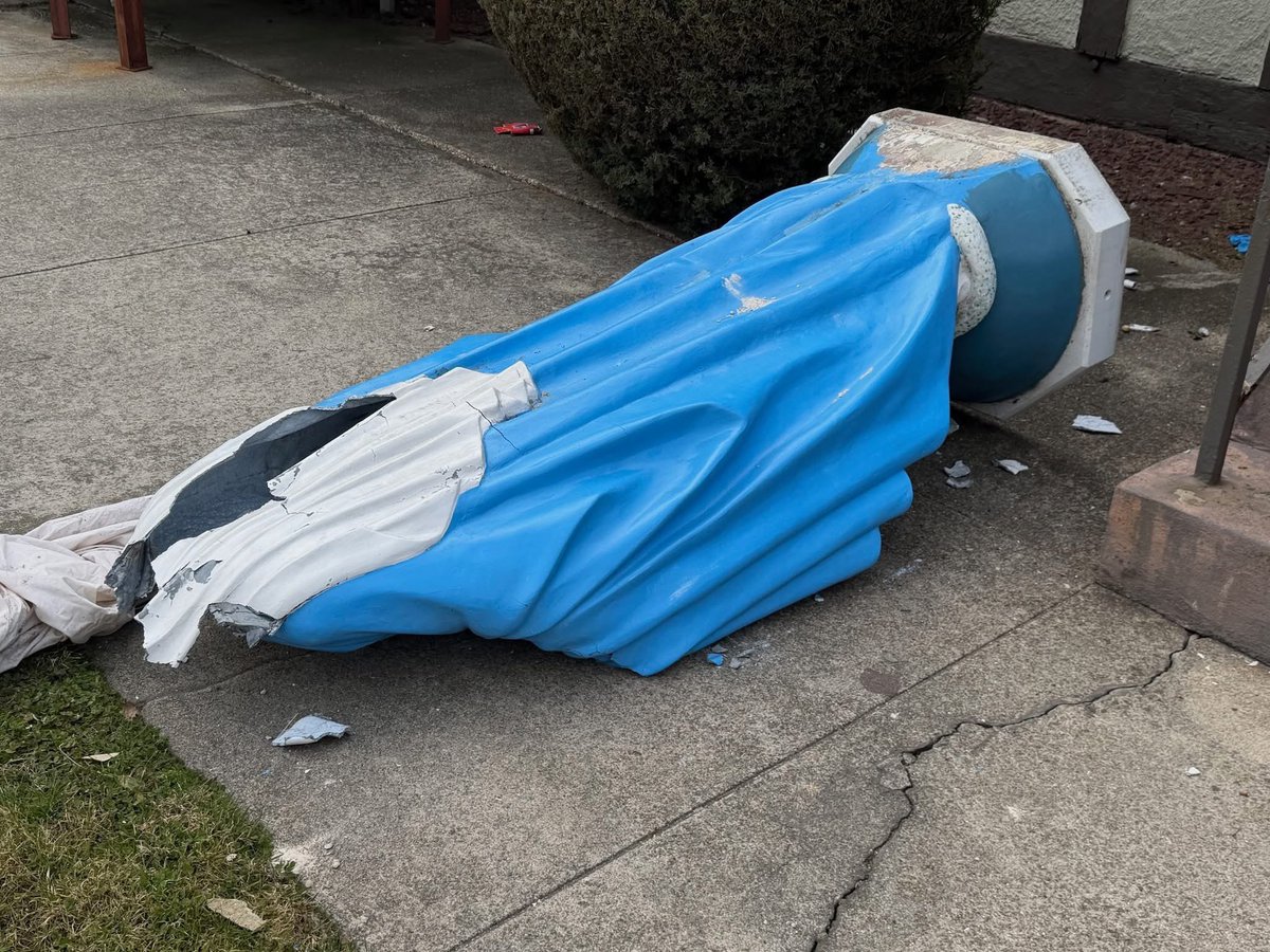 Sachin Jose tweet media