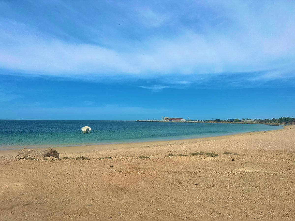 El guaro tweet media