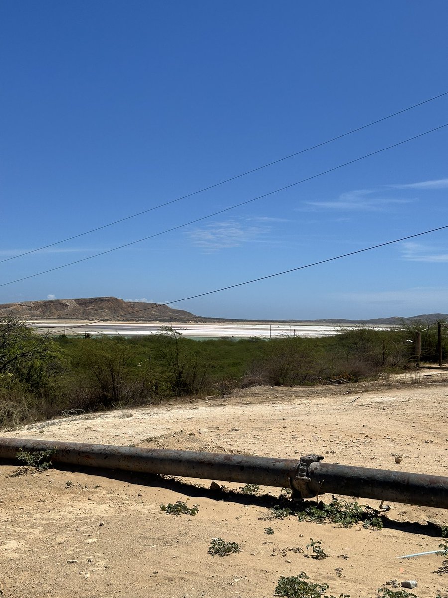 El guaro tweet media