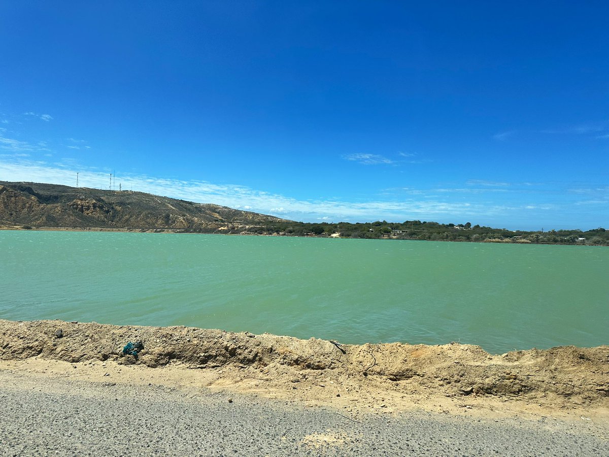 El guaro tweet media