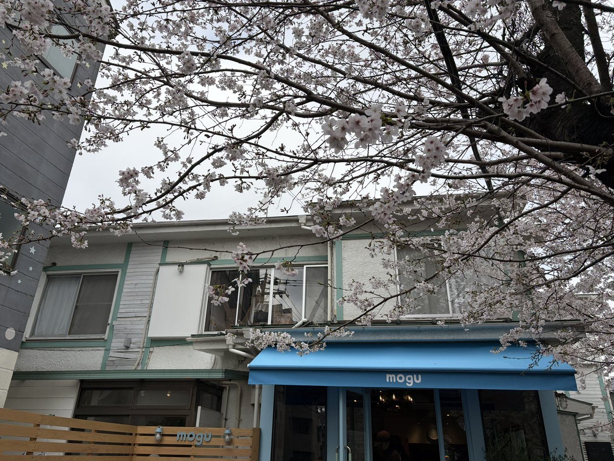 ちぃかま@🦑🍚 tweet media