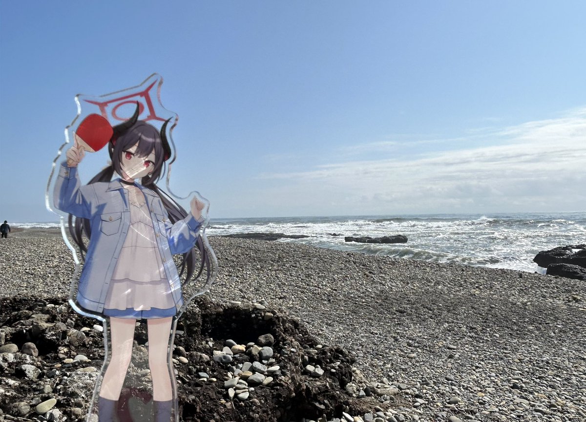 シルベーヌ tweet media