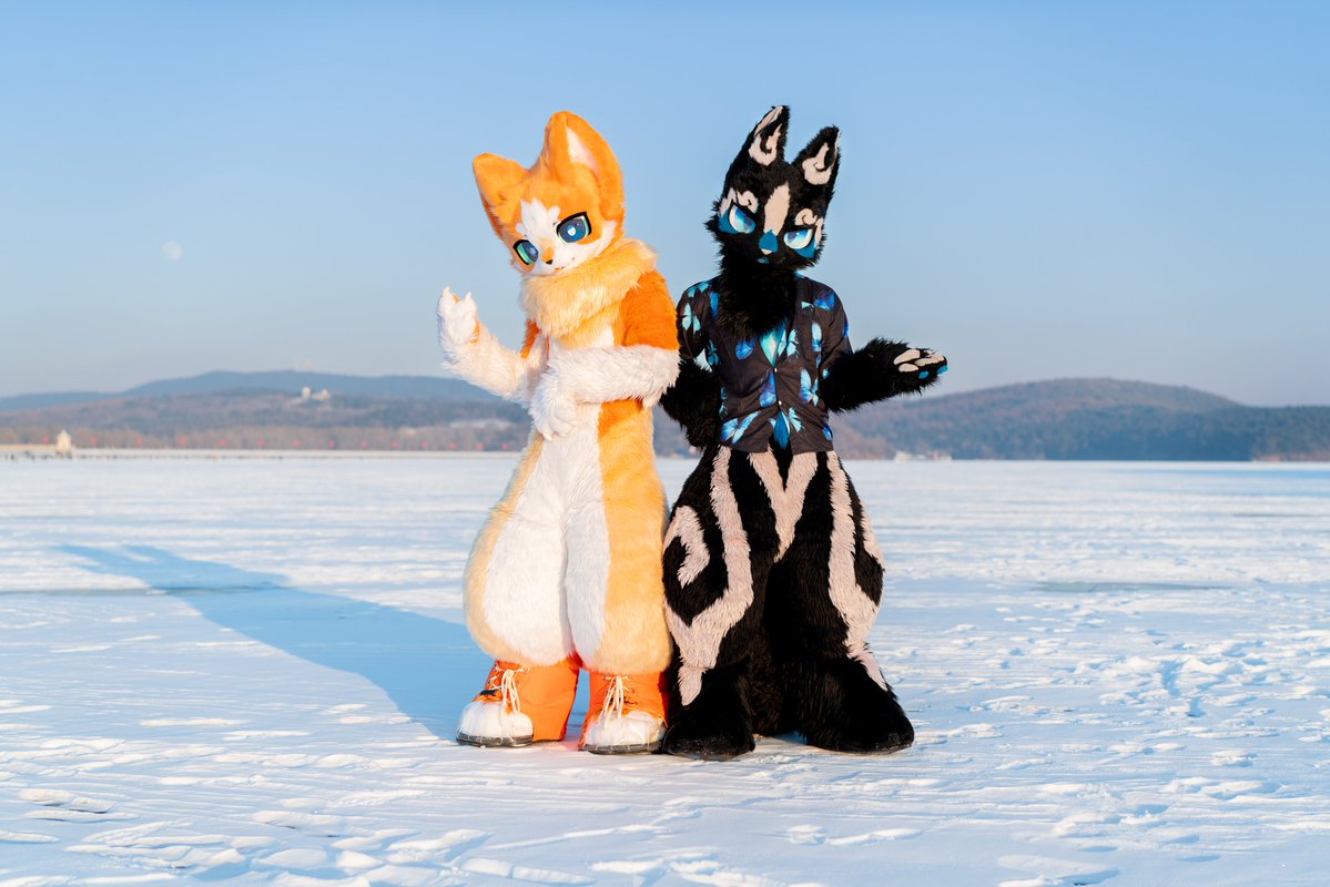 星效-Vulptex tweet media