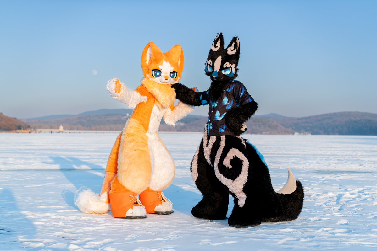 星效-Vulptex tweet media