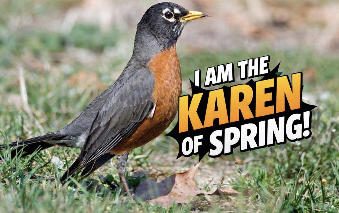 JMBRADY16's tweet photo. What’s worse than a female Robin in spring trying to chirp at you on your own property. Time to bring out the snakes. https://t.co/xFxeKaDtC9